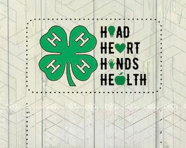 4H