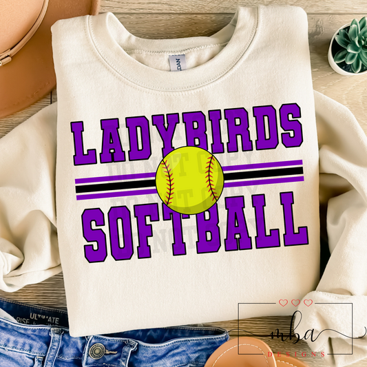 Ladybirds Softball (ball)