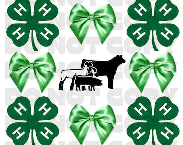 4H Bow