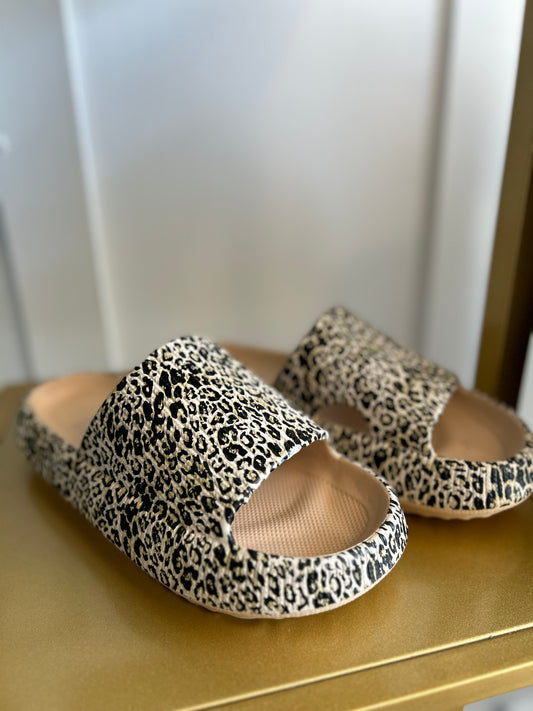 Cheetah Slides